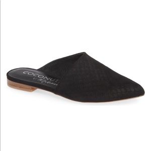 Coconuts Xander Womens Slip On Coconuts Xander Womens Slip On